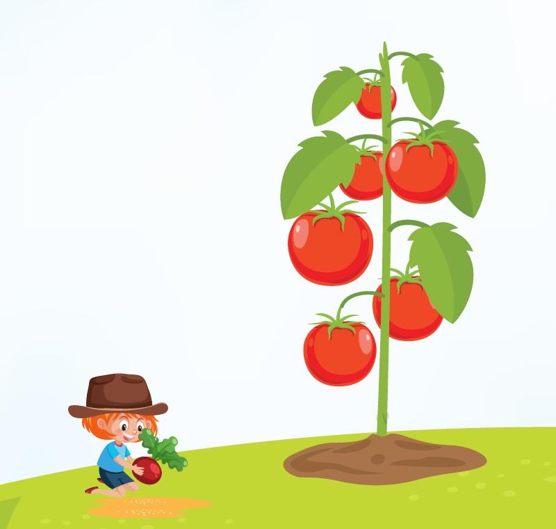 Start Early Investing